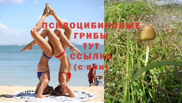 дживик Волосово